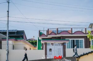 People walking by rooftop house.
