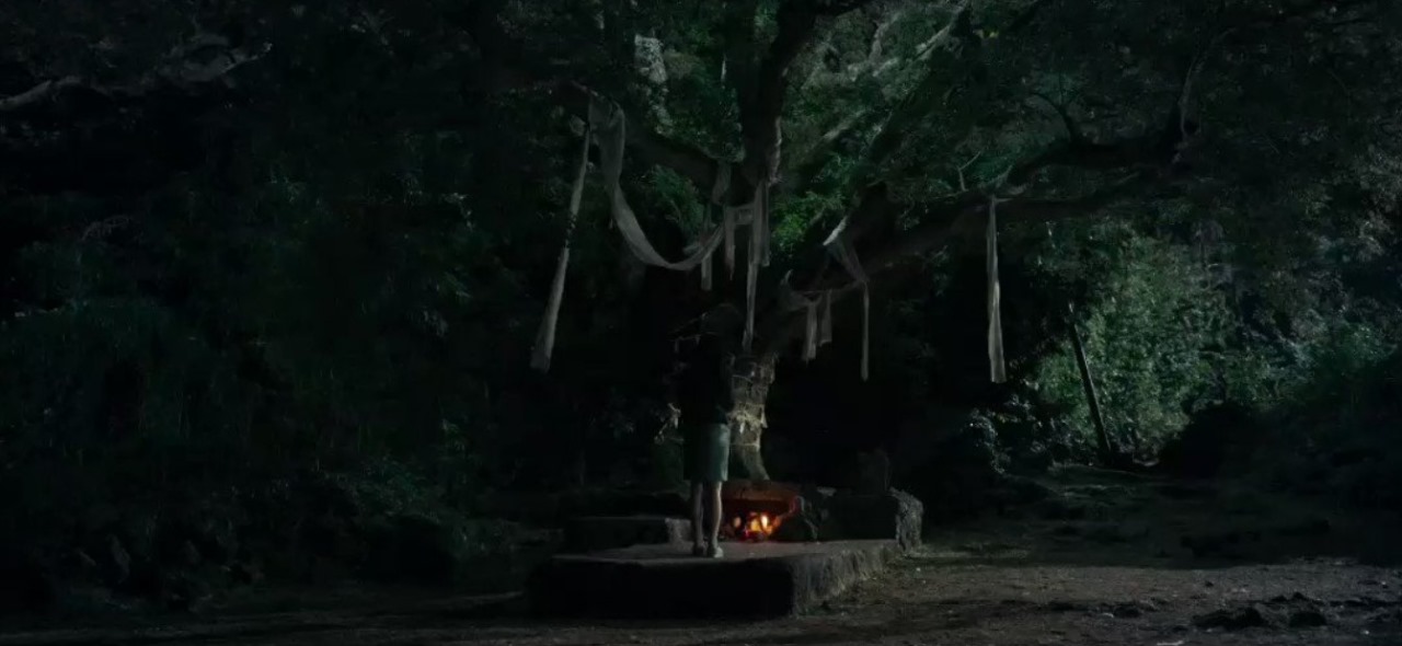 Mysterious nighttime scene of a person standing by a sacred tree adorned with hanging cloth strips, next to a burning altar in a dark forest.