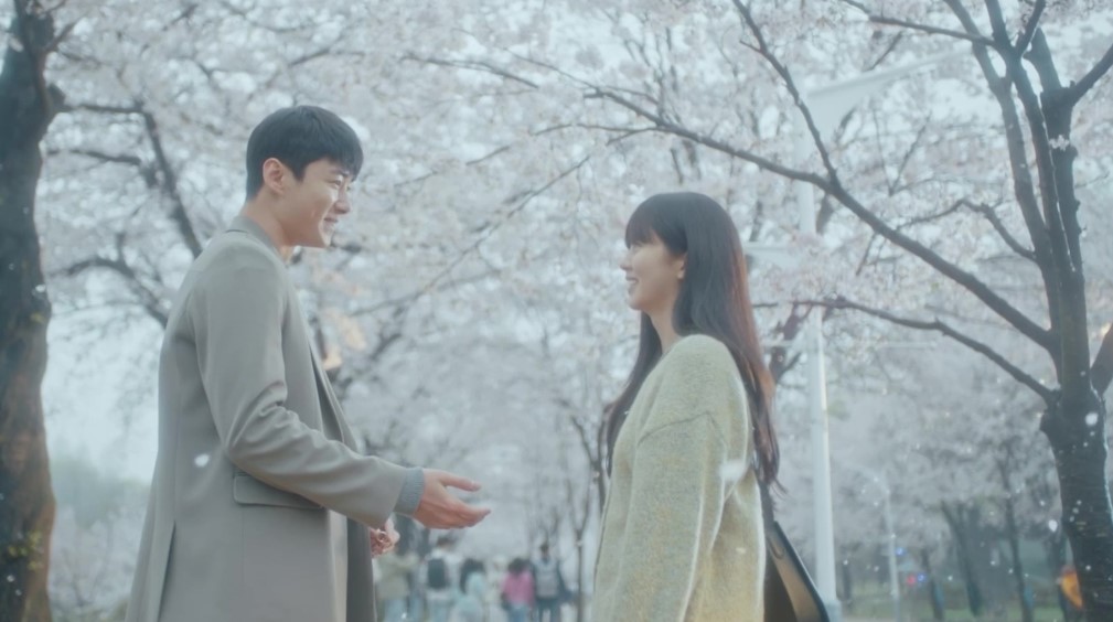 Romantic scene from 'My Lovely Liar' featuring the two main characters standing in a cherry blossom park, smiling at each other as petals gently fall around them.