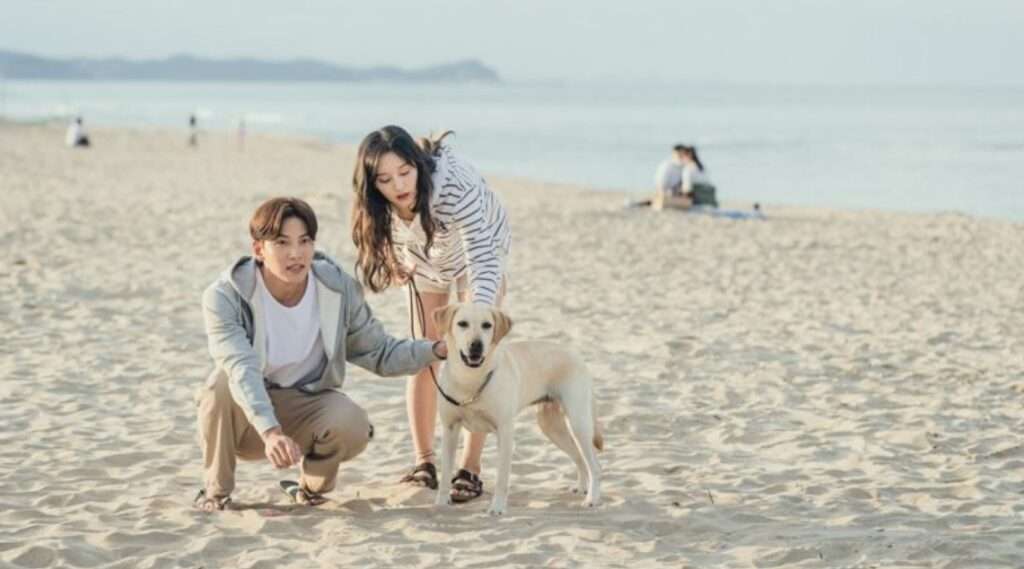 A couple from Love Struck in the City enjoying a beach moment with their dog, showcasing a lighthearted scene from the K-drama.