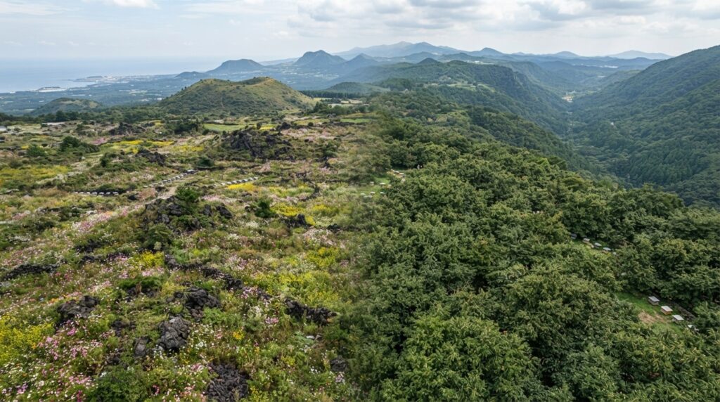 Jeju Island wildflower fields and Gangwon chestnut groves producing regional Korean honey