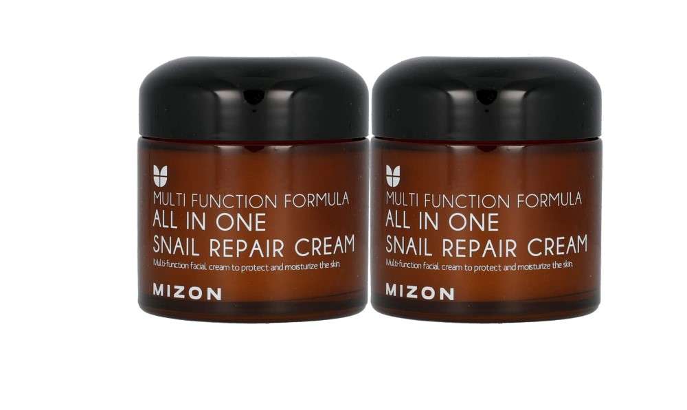MIZON All-in-One Snail Repair Cream Korean Face Moisturizer with Snail Mucin 12 Natural Extracts Hydrating Nourishing Cream for Fine Lines Wrinkles & Blemish Care (2.53 Fl Oz Pack of 2)
