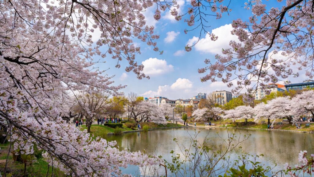 Seokchon Lake Park near Songpa Book Museum, featuring cherry blossoms and Seoul attractions.