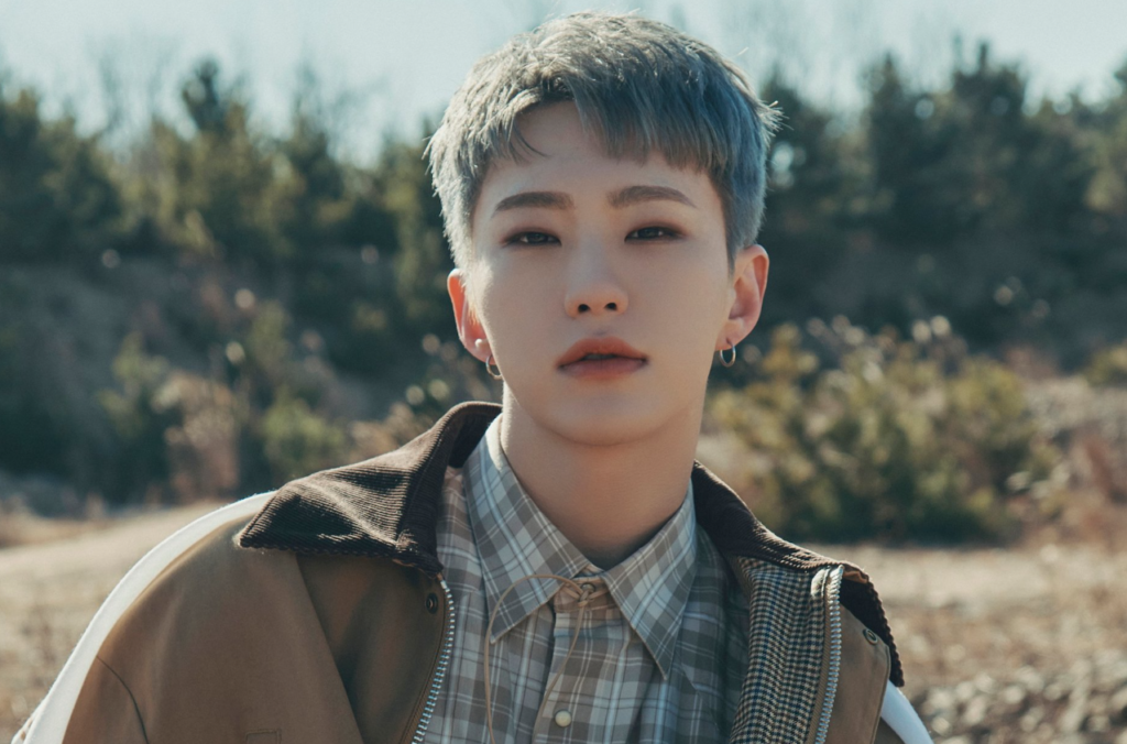 Hoshi (Kwon Soonyoung) — Ideal Type