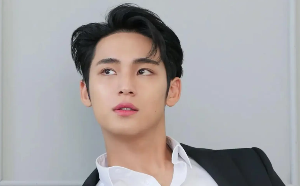 Mingyu (Kim Mingyu) — Ideal Type