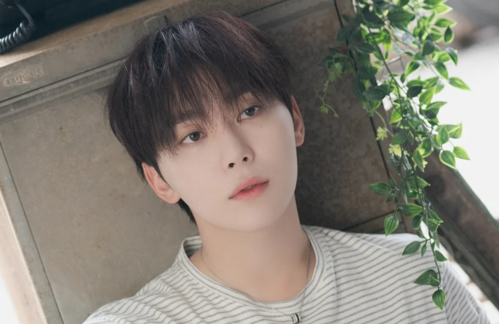 Seungkwan (Boo Seungkwan) — Ideal Type