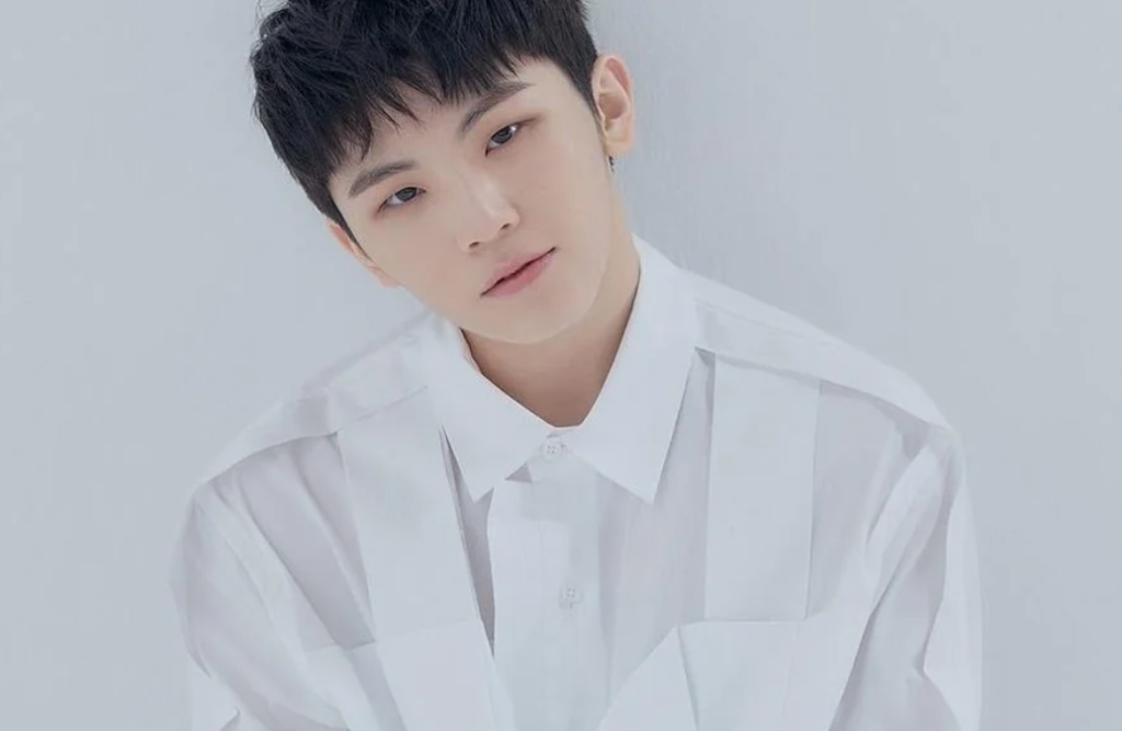 Woozi (Lee Jihoon) — Ideal Type