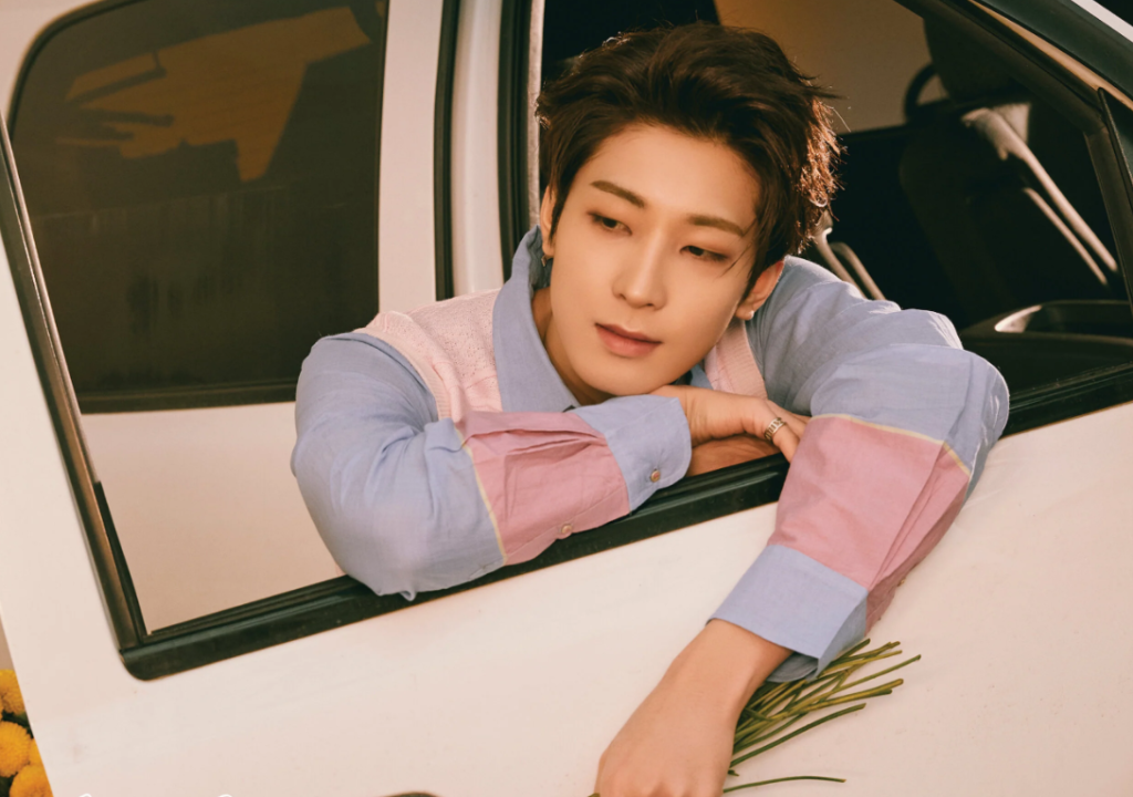 Wonwoo (Jeon Wonwoo) — Ideal Type