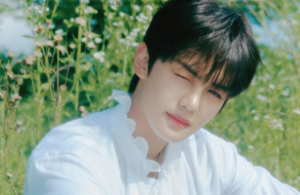 Kim Gyuvin — The Sunshine Member